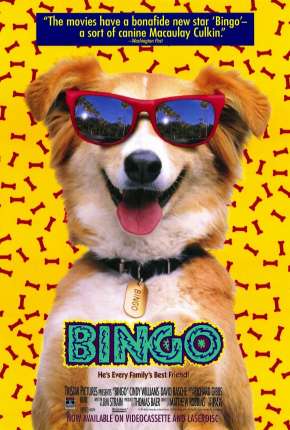 Bingo, Esperto pra Cachorro via Torrent