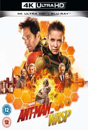 Homem-Formiga e a Vespa 4K via Torrent