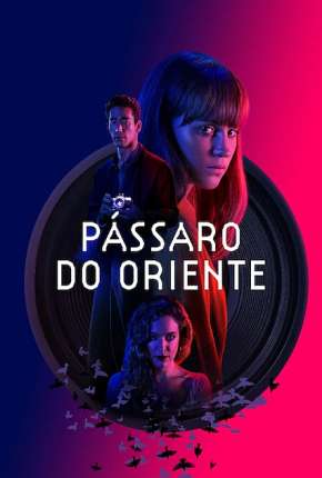 Pássaro do Oriente via Torrent