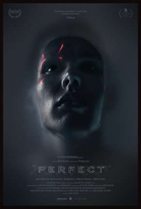 Perfect - Legendado via Torrent