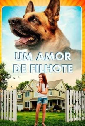 Um Amor de Filhote via Torrent