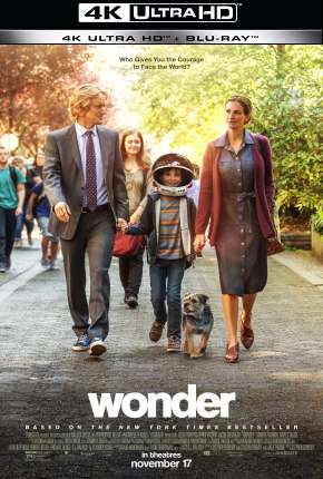 Extraordinário - 4K Dublado 5.1 Download - Rede Torrent