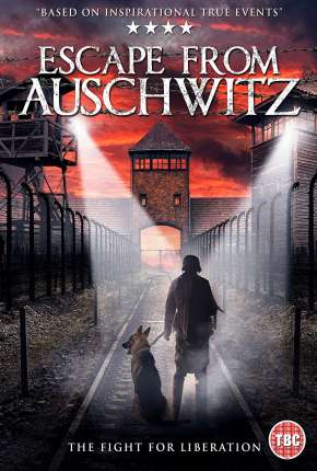 Fuga de Auschwitz via Torrent