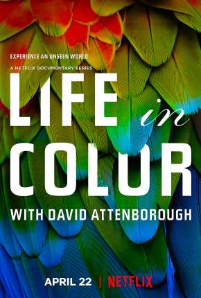 Life In Colour - 1ª Temporada Completa via Torrent