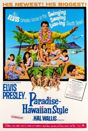 No Paraíso do Havaí Dublado e Dual Áudio Download - Rede Torrent