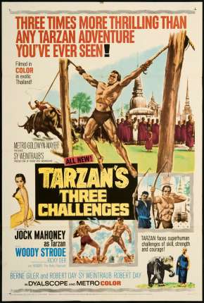Os Três Desafios De Tarzan via Torrent